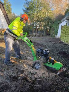 Präzise Baumstumpfentfernung mit Stubbenfräse – Hausmeisterservice Baden arbeitet sauber und effizient
