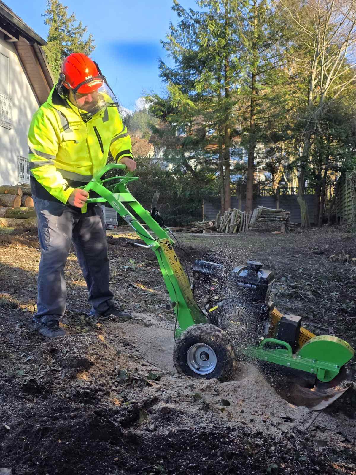 Effiziente Baumstumpfentfernung mit moderner Frästechnik – Hausmeisterservice Baden im professionellen Einsatz