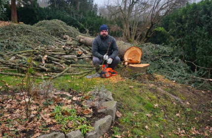 Wurzeln Baumstump entfernung mit Baumstumpffräse